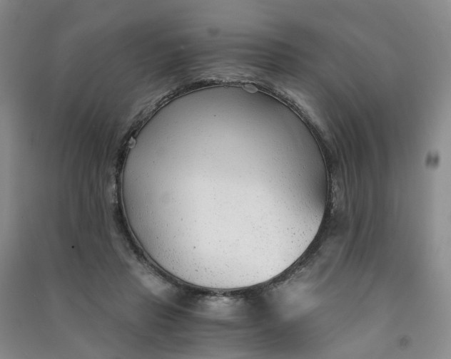 X0000090920453200708201810