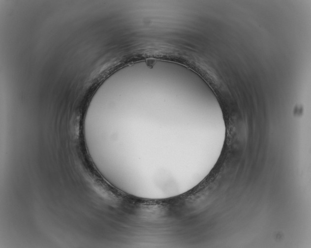 X0000090920454200708201810