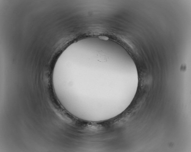 X0000090920455200708201810