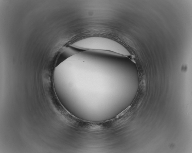 X0000090920456200708201810