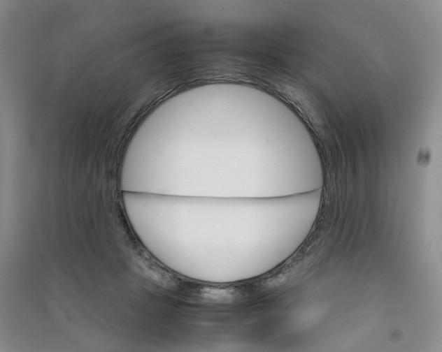 X0000090920457200708201810