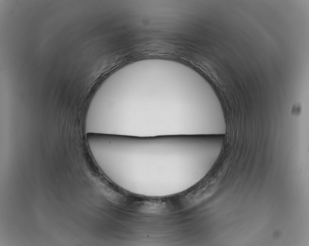 X0000090920458200708201810