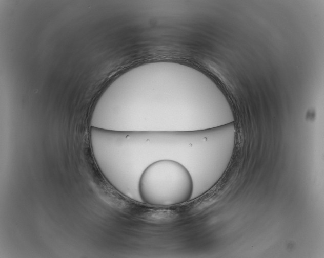 X0000090920459200708201810