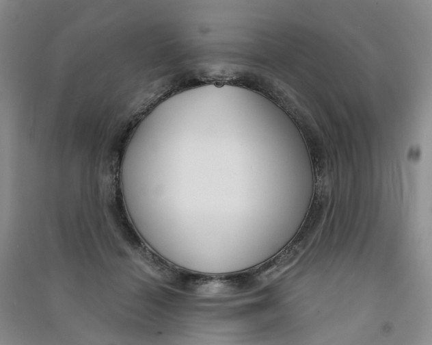 X0000090920460200708201810