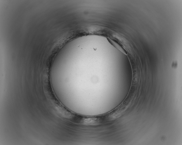 X0000090920461200708201810