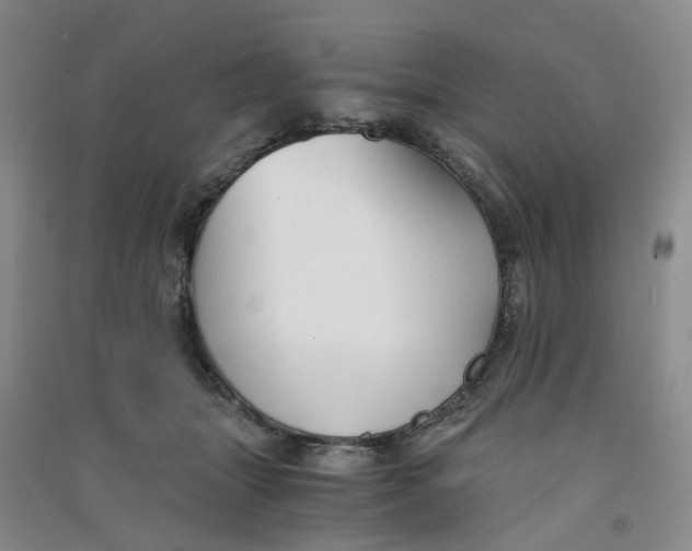 X0000090920463200708201810