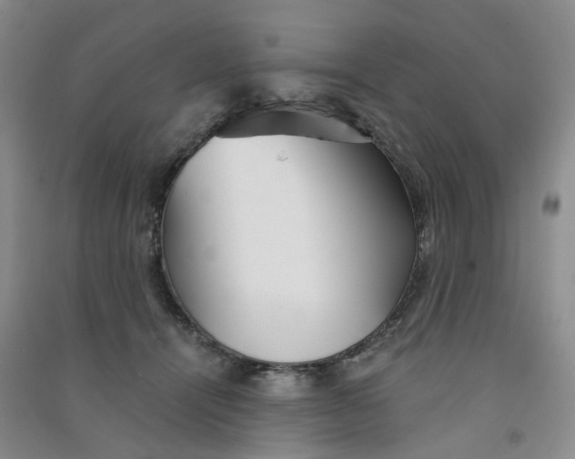 X0000090920464200708201810