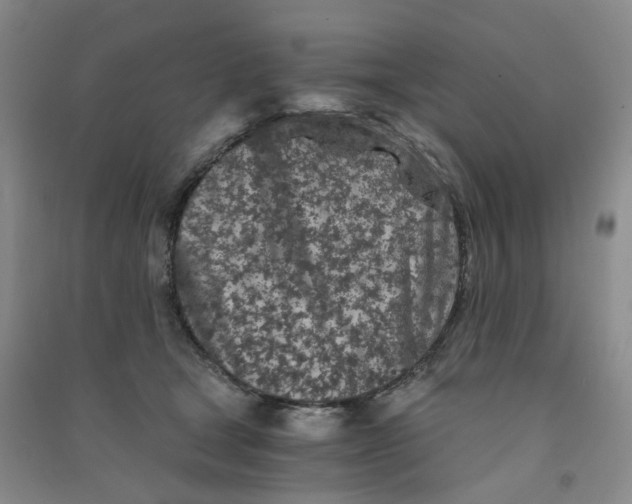 X0000090920465200708201810