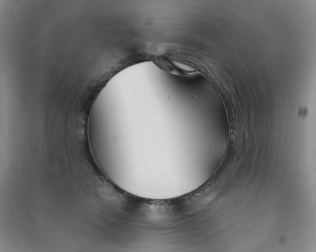 X0000090920466200708201810