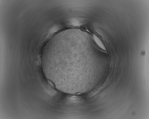 X0000090920467200708201810