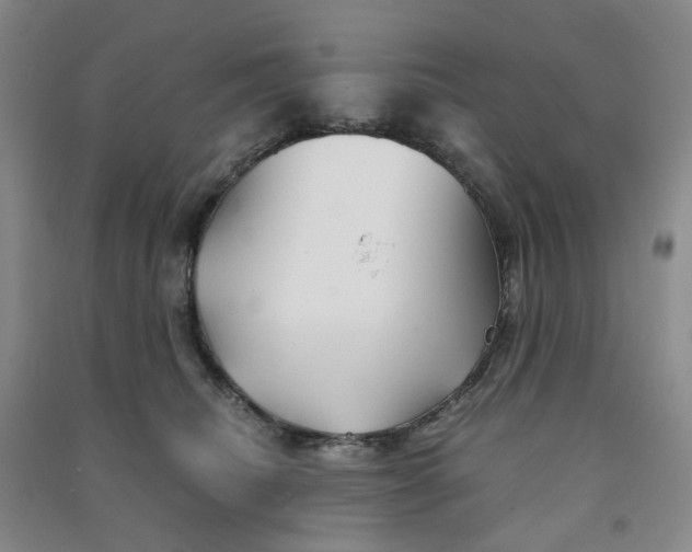 X0000090920468200708201810