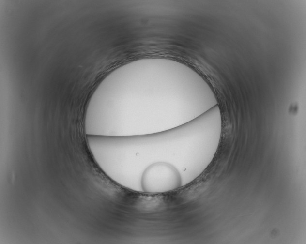 X0000090920469200708201810