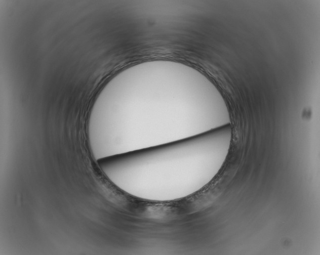 X0000090920470200708201810