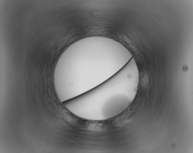 X0000090920471200708201810