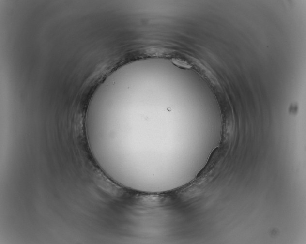 X0000090920473200708201810