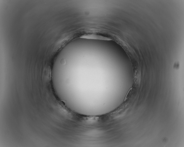 X0000090920474200708201810