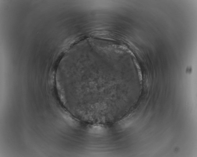 X0000090920475200708201810