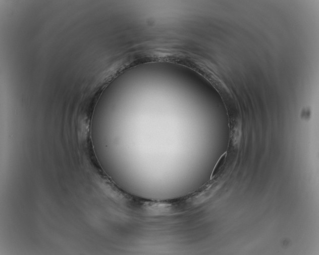 X0000090920476200708201810