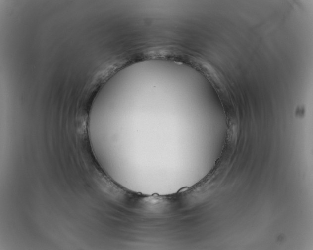 X0000090920477200708201810