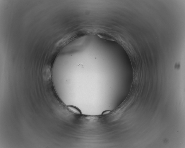 X0000090920478200708201810