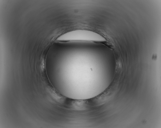 X0000090920479200708201810