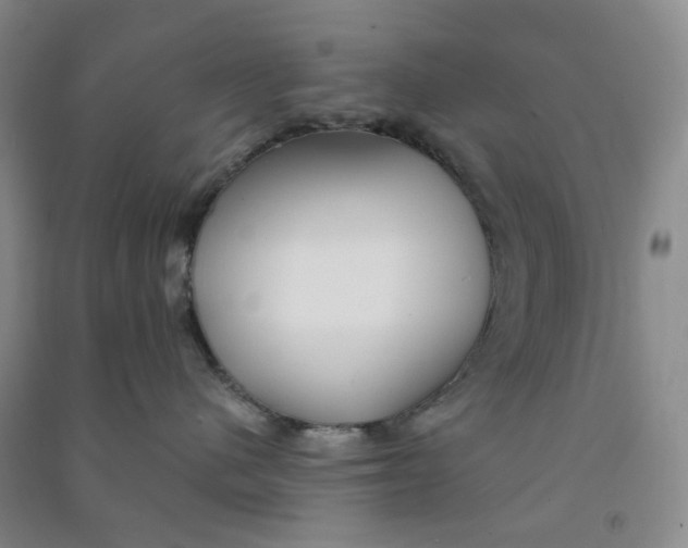 X0000090920480200708201810