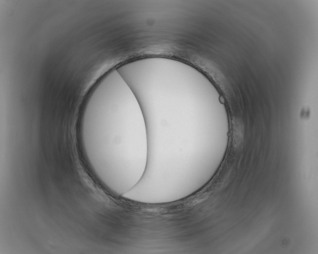 X0000090920482200708201809