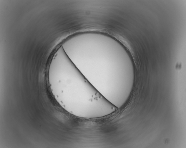 X0000090920483200708201809