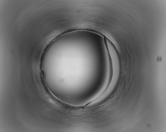 X0000090920485200708201809