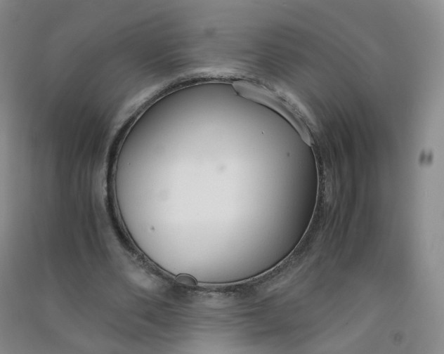 X0000090920486200708201809