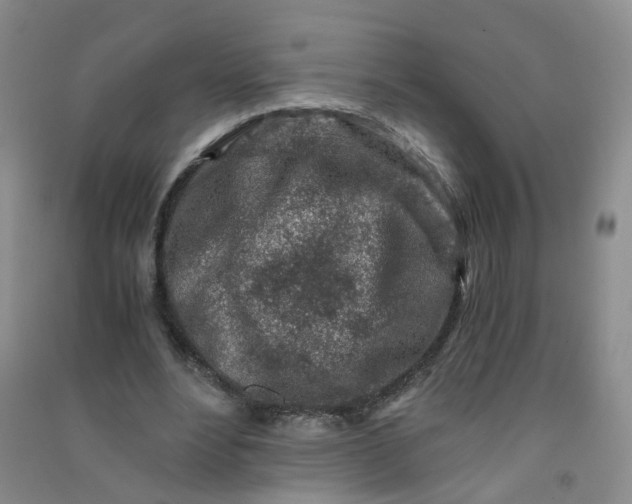 X0000090920488200708201809