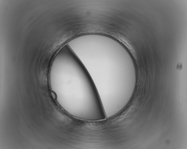 X0000090920489200708201809