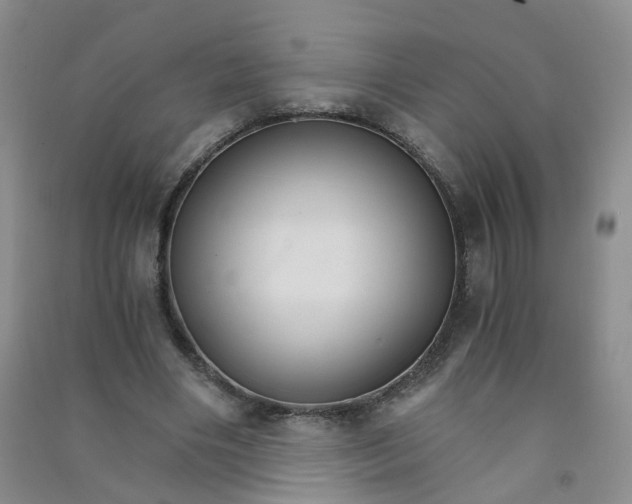 X0000090920490200708201809