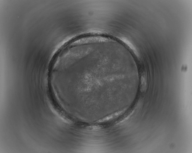 X0000090920492200708201809