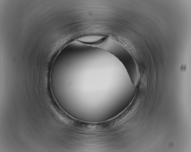 X0000090920493200708201809