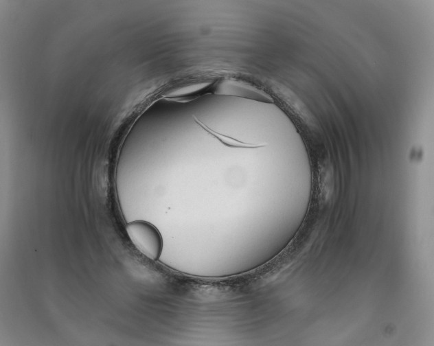 X0000090920494200708201809