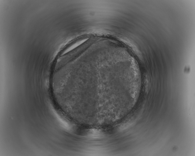 X0000090920496200708201809