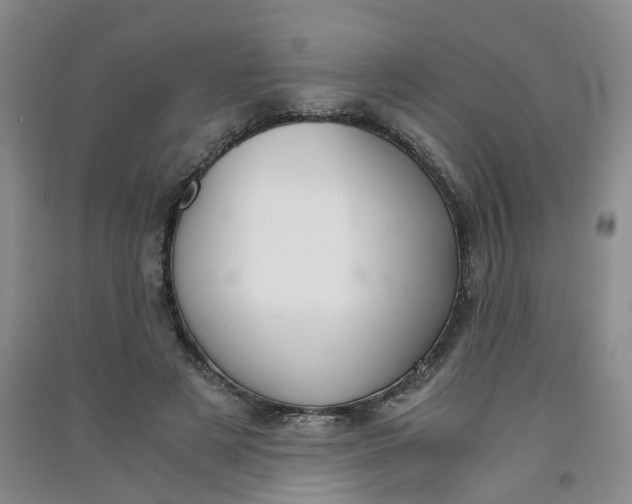 X0000090920497200708201809