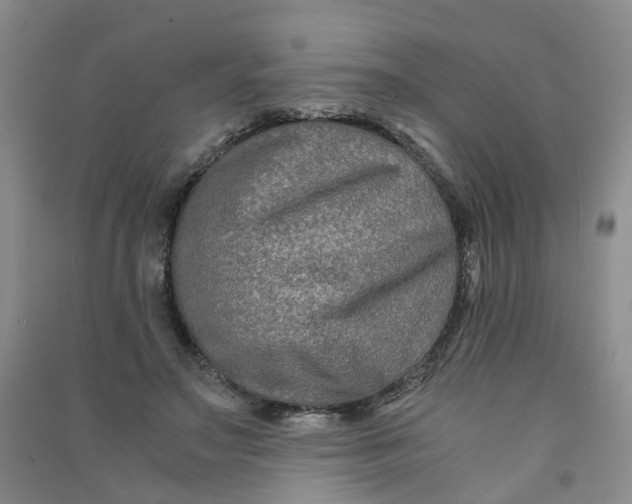 X0000090920499200708201809