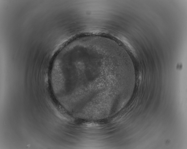 X0000090920500200708201809