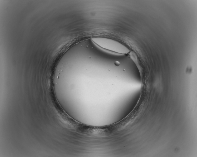 X0000090920501200708201809