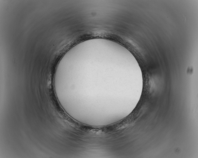 X0000090920502200708201809