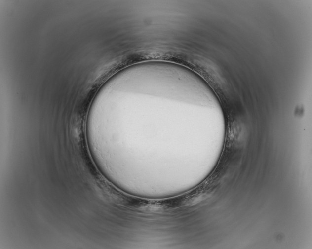 X0000090920503200708201809