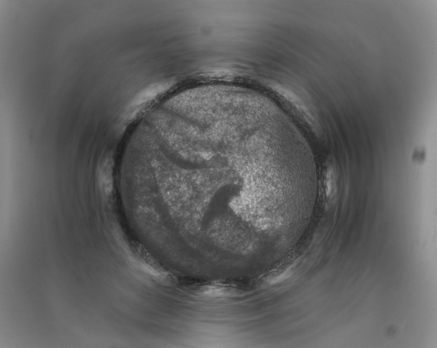 X0000090920504200708201809