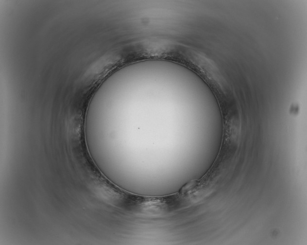 X0000090920505200708201809