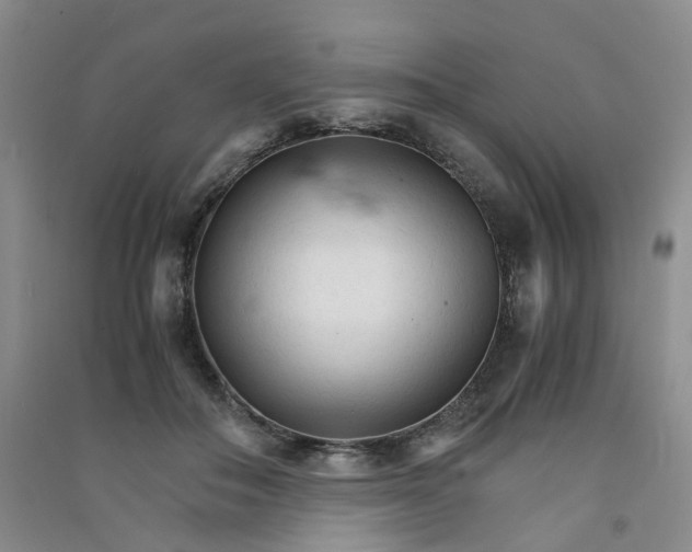 X0000090920506200708201809