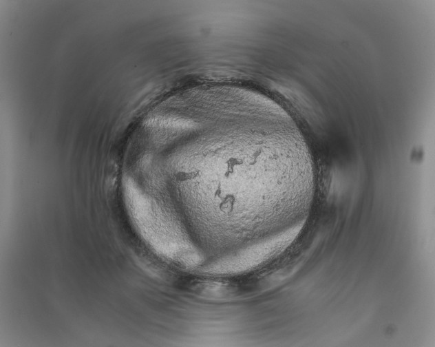 X0000090920507200708201809