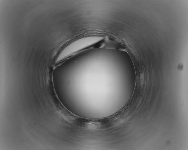 X0000090920508200708201809