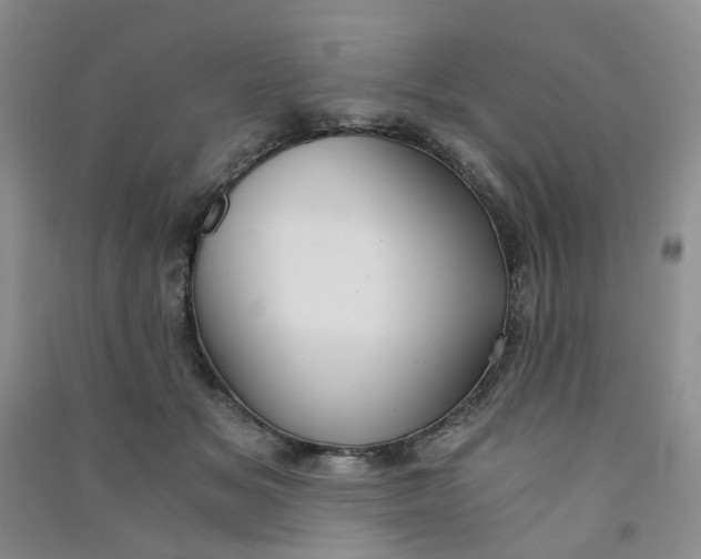 X0000090920509200708201809