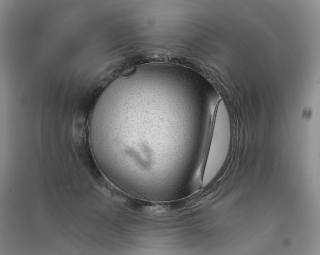 X0000090920511200708201809